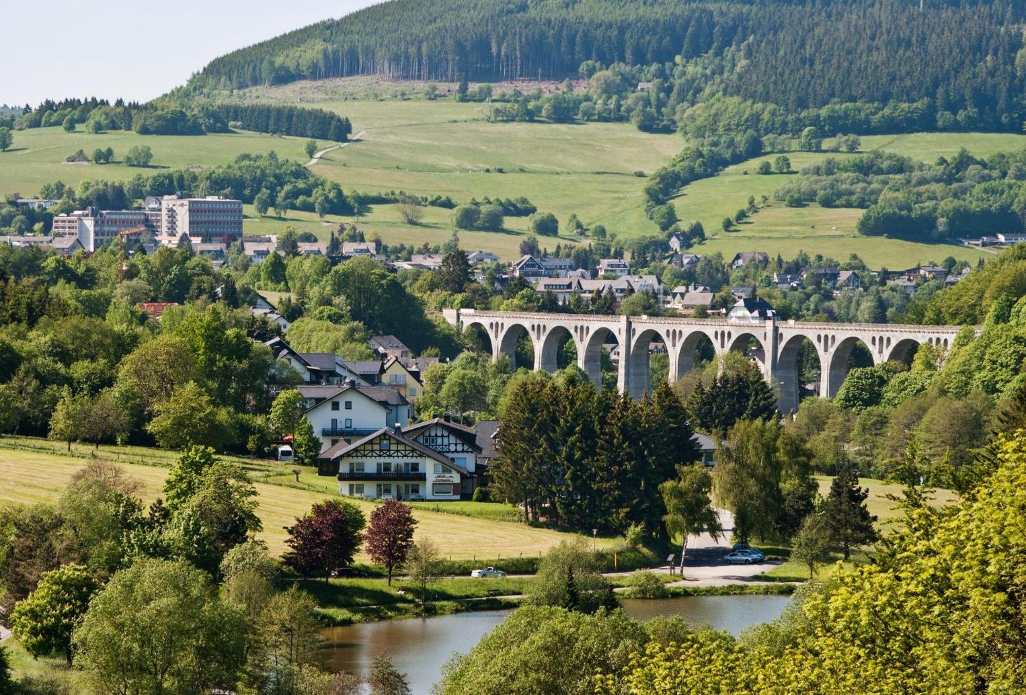 Komfort-Fewo Gluecksgriff Mit Garten Lejlighed Willingen  Eksteriør billede